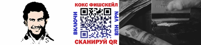 COCAIN Fish Scale  закладки  блэк спрут ссылки  Нолинск 