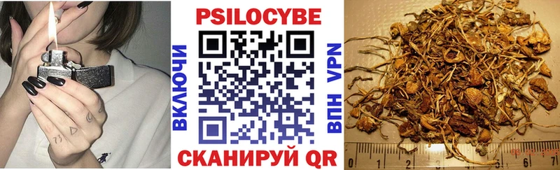 Псилоцибиновые грибы мицелий  Нолинск 
